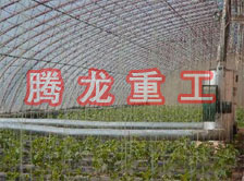 大棚花卉供暖設備、大棚卉采暖設備、大棚花卉取暖設備